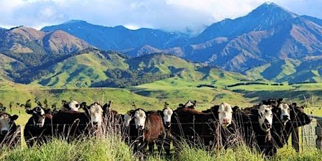 Your Future in New Zealand Agriculture primary image