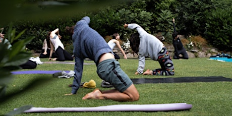 The Gathering - Outdoor Yoga primary image