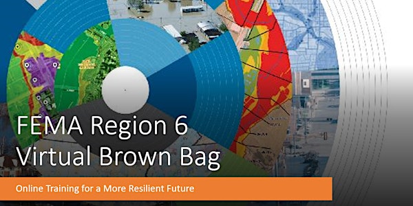 FEMA Region 6 Virtual Brown Bag (VBB)