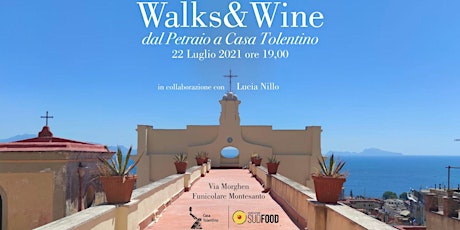 Immagine principale di Walks & Wine: dal Petraio a Casa Tolentino 