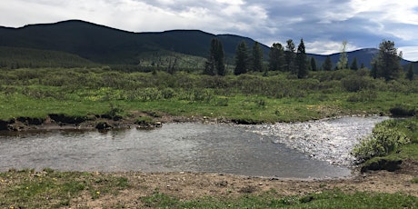 Radiant Creek 2021 Habitat Restoration