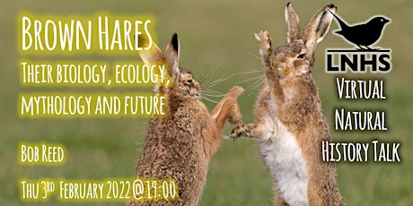 Brown Hares, Their biology, ecology, mythology and future by Bob Reed ingressos