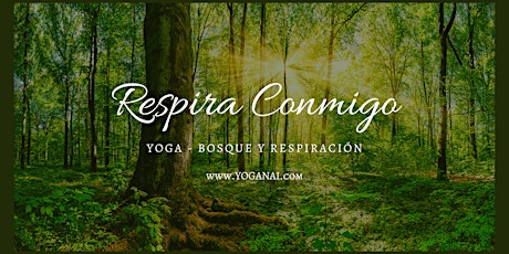 Imagen principal de Yoga, Baño de Bosque y Respiración Consciente