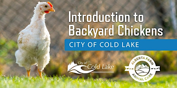 Introduction to Backyard Chickens - City of Cold Lake