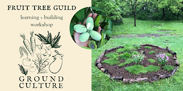 Fruit Tree Guild Workshop