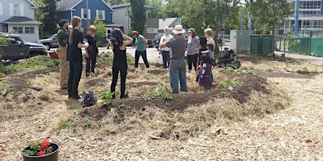 Hauptbild für Permaculture Garden Restoration at containR - July 18