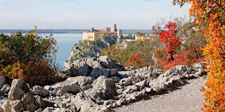 Canto di Virgilio e di Beatrice primary image