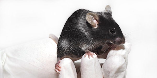 Introduction to Mouse Genetics & Phenotyping