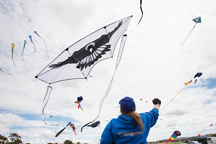 Harden Kite Festival 2022 image