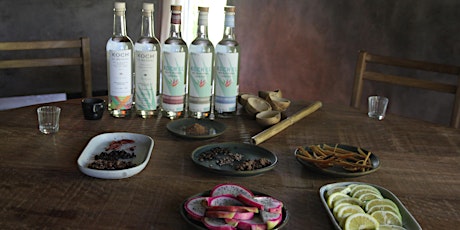 Imagen principal de Blind mezcal tasting experience