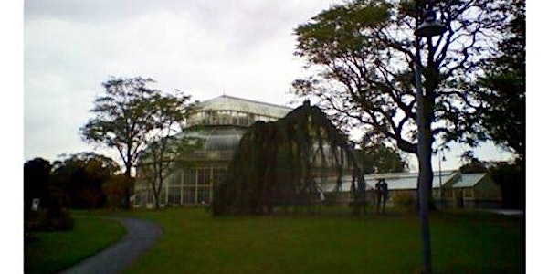 Sketch trip to the National Botanic Gardens, Dublin