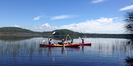 Cabarita Lake to Kingscliff Kayak Paddle primary image