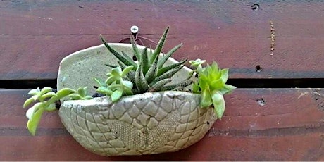 Handmade Pottery for Plants primary image