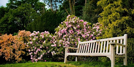 Timed entry to Rowallane Garden (26 July - 1 Aug) primary image