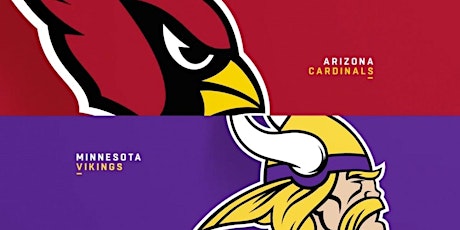 Ultimate Fan Experience: Arizona Cardinals vs Minnesota Vikings