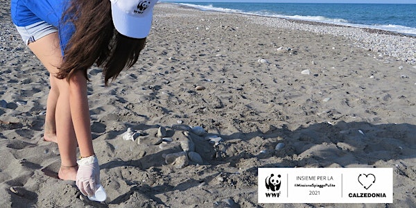 Tour #PlasticFree #MissioneSpiaggePulite - insieme a WWF YOUng