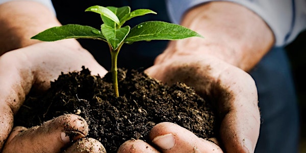 Degustazione In Azienda Biodinamica