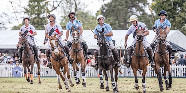 Polo in the Bay | Mount Maunganui