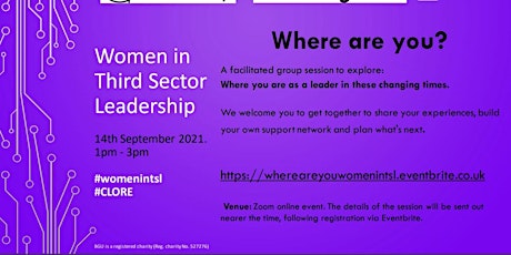 Women in Third Sector Leadership Network. Where are you? ​ primary image