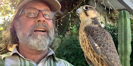 Kenny Elvin, Master Falconer, and his Birds of Prey return to Coyote Point! primary image