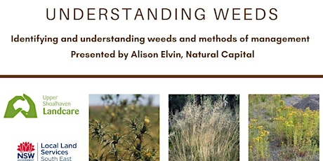 Understanding Weeds primary image
