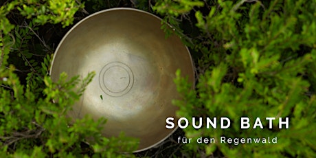 Hauptbild für Sound Bath für den Regenwald