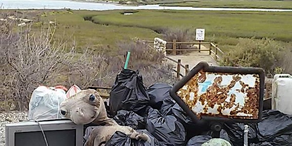 Coastal Cleanup Day at Upper Newport Bay