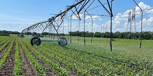 2021 Sand Plain Research Farm Irrigation and Nutrient Management Field Day
