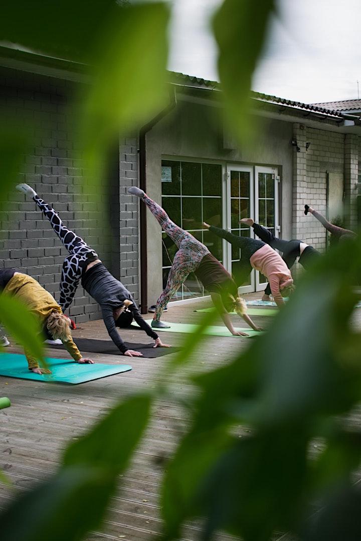
		One Day Yoga Retreats - Workshop Series - Sunshine Coast image
