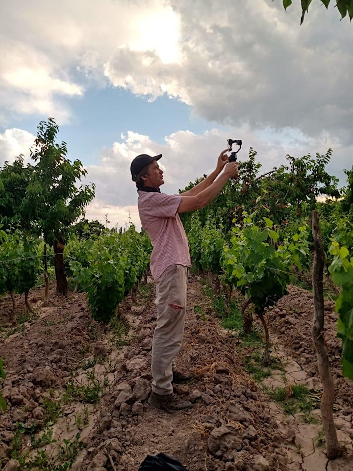 Tour to the vineyards of Mendoza image
