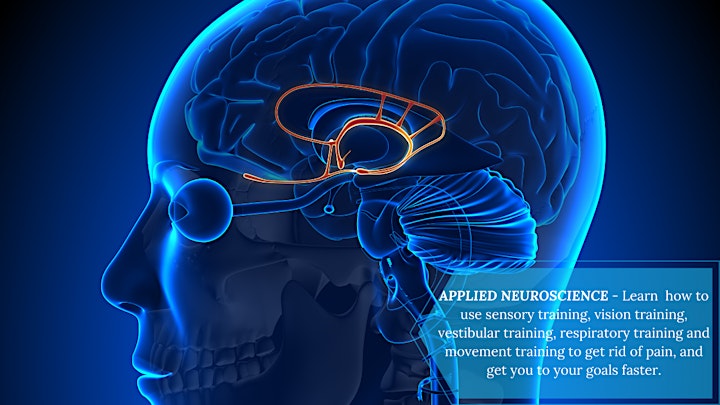 
		Unlock Your True Potential Workshop -Neuroscience, Metabolism, Habit Change image
