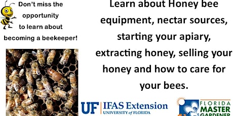 Beekeeping for Beginners primary image