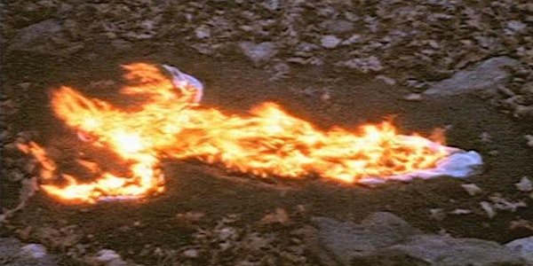 THURSDAY FILMS: Ana Mendieta: Fuego de Tierra