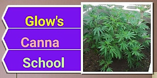 GLOWS Grow School