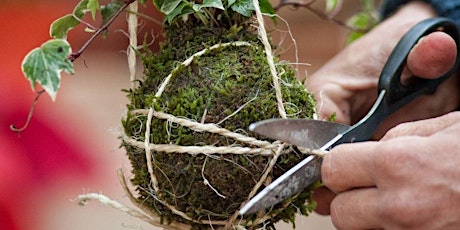 Kokedama Planter Workshop primary image