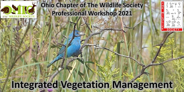 Ohio Chapter of The Wildlife Society - Professional Workshop 2021