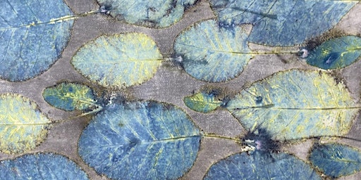 The true colour of the Cotinus , 100 eco printers make blue prints primary image