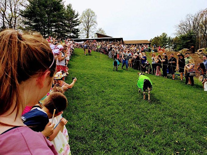 VIP Goat Derby Experience image