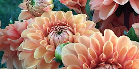 Primaire afbeelding van Bloemen in de zorg: het effect van geuren en kleuren