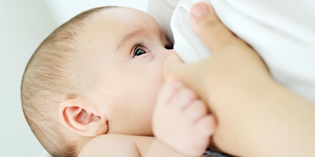 Paediatrics:  Understanding Infant Feeding (CPD)