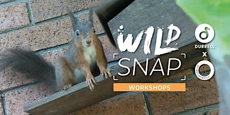 Hauptbild für WildSnap Workshops: build a nature camera