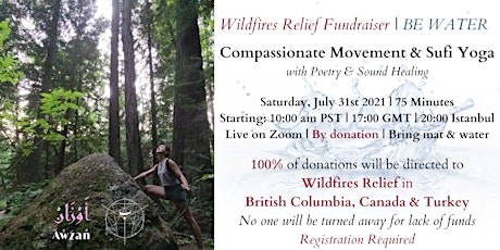Wildfires Relief Fundraiser | 'Be Water' Sufi Yoga & Poetry Live Zoom Class primary image