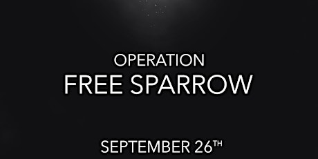 Op: Free Sparrow primary image