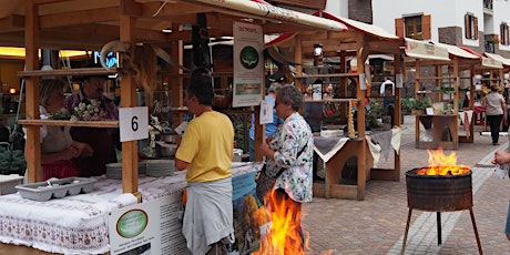 Immagine principale di Gourmet Val di Pejo 