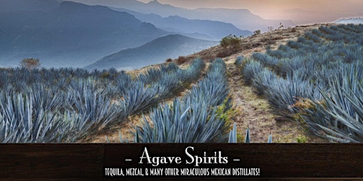 The Roosevelt Room's Master Class Series - Agave Spirits
