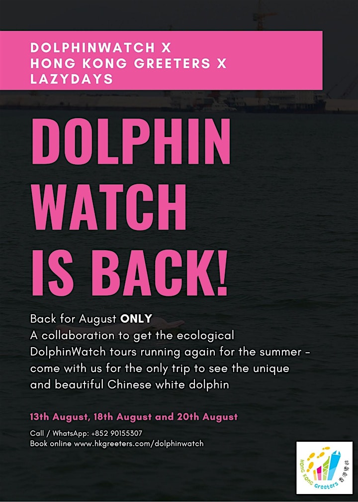 Hong Kong Dolphin Watch Tour image
