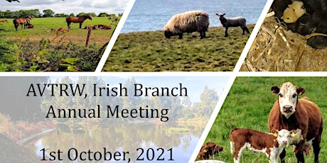 AVTRW Irish Branch Annual meeting, 1st october 2021 primary image