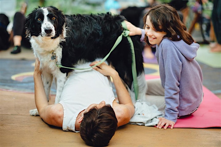 DOGA (Doggie Yoga) with Pam & True: The Portland Dog Boneanza Kick-Off image