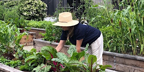 Backyard Bees and Butterflies with Honey Girl Grows primary image