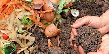 Compost, Worm Farm and Bokashi workshop primary image
